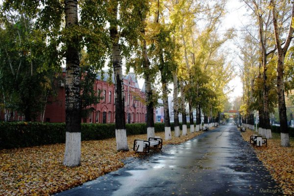 Ленина Барнаул осень