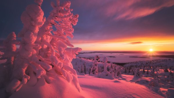 Зимний рассвет