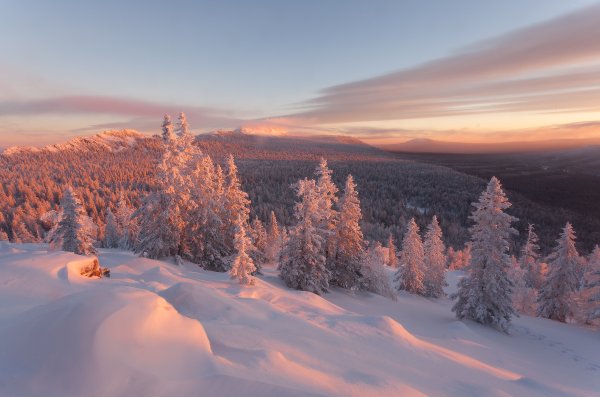 Зимний пейзаж