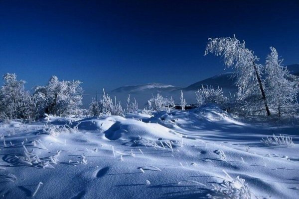 Завораживающая зима