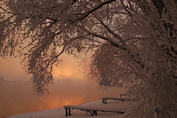 Зимняя тишина