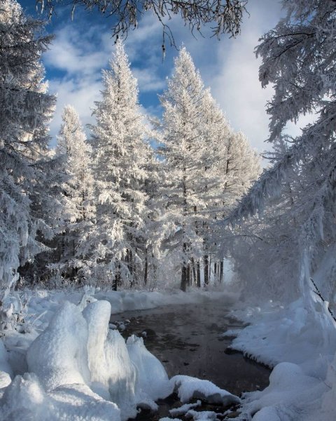 Зимняя красота