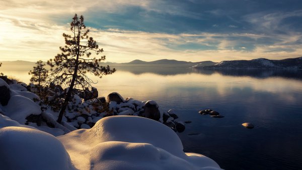 Зимнее спокойствие