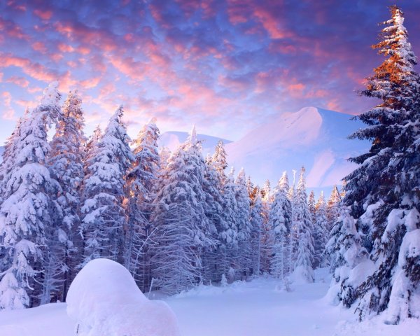 Снежная зима