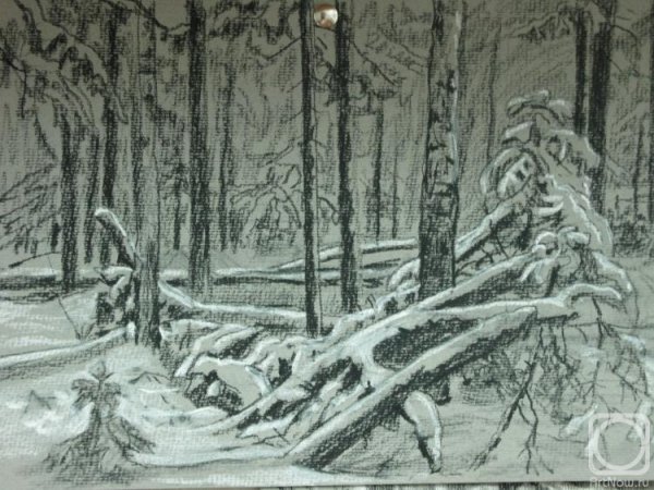 Зимний пейзаж Графика