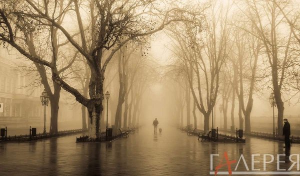 Дождливый пейзаж