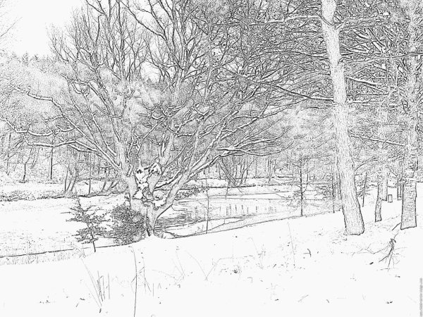 Зимние рисунки для срисовки