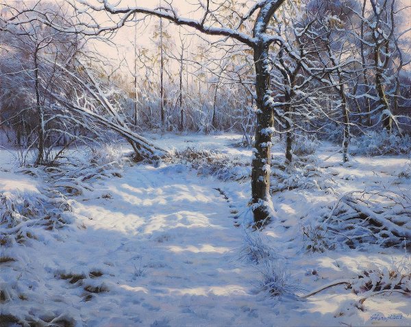 Питер Баркер зимние пейзажи