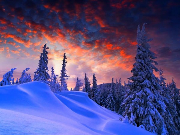 Зимний пейзаж в фиолетовых тонах