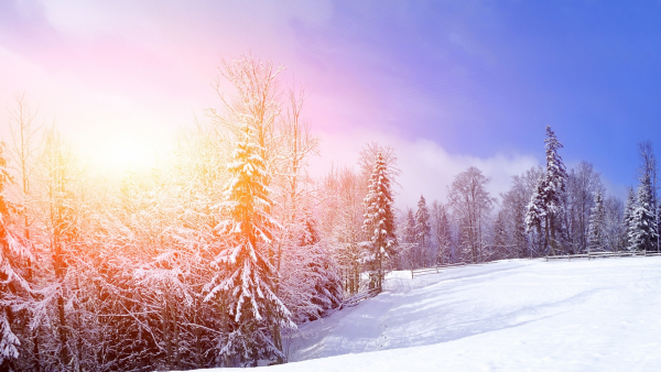 Зимняя природа