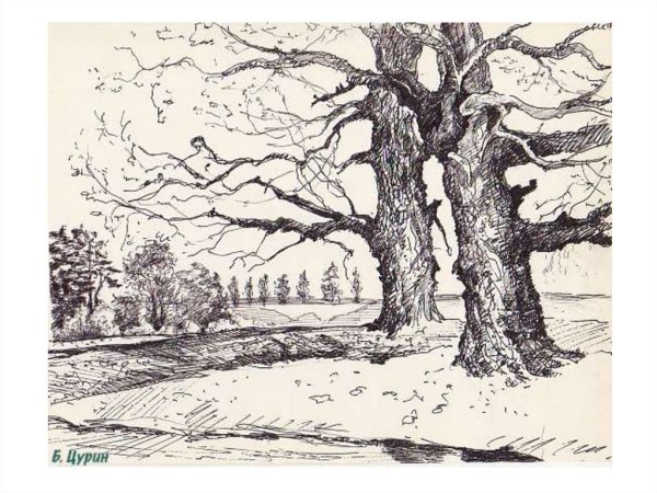 Дерево гелевой ручкой