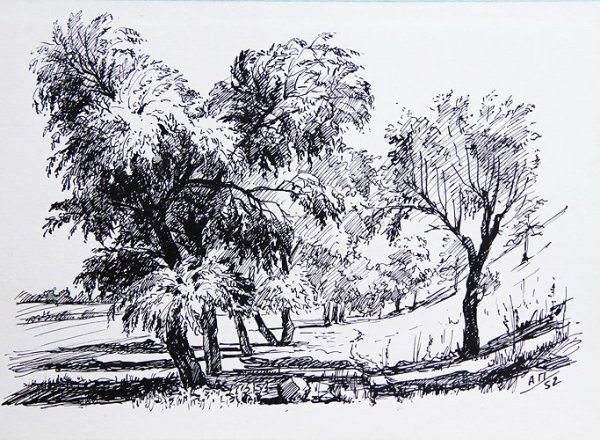 Графический пейзаж тушью