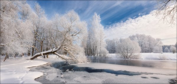 Беларусь пейзажи природа зима