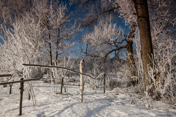 Зима в Беларуси