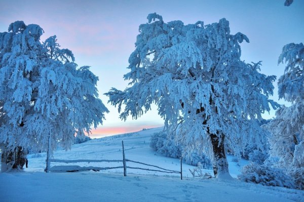 Природа Белоруссии зимой