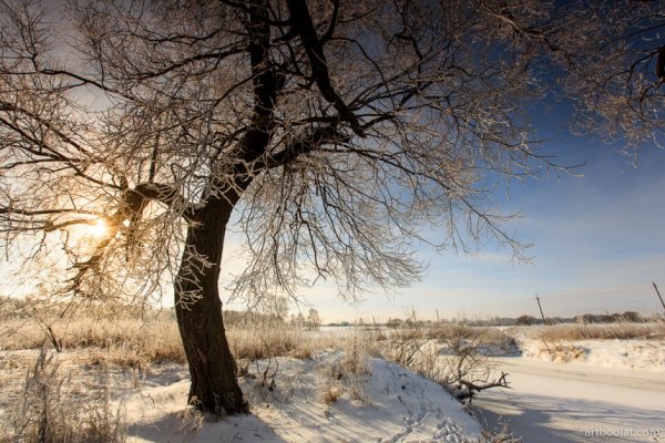 Новогодняя улица Минска
