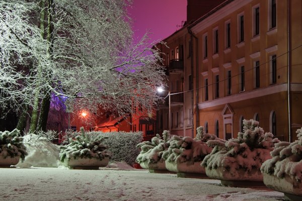 Витебск зима