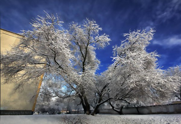 Федосенко Роман зимние пейзажи
