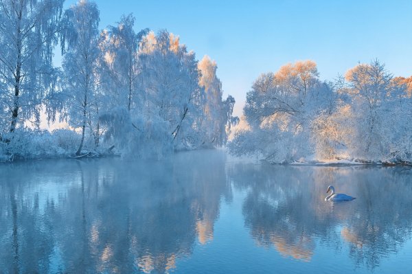 Берег реки зимой