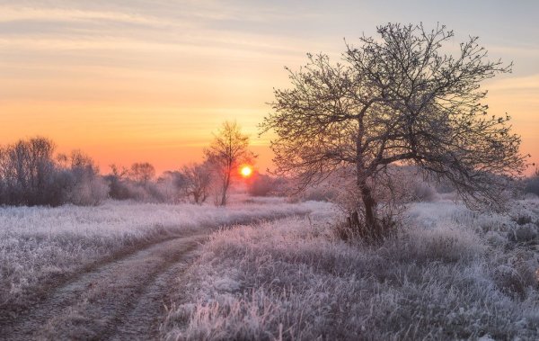 Зима Россия город
