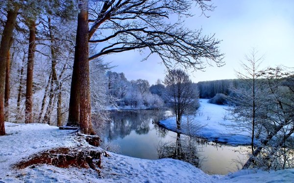Зимний пейзаж маслом