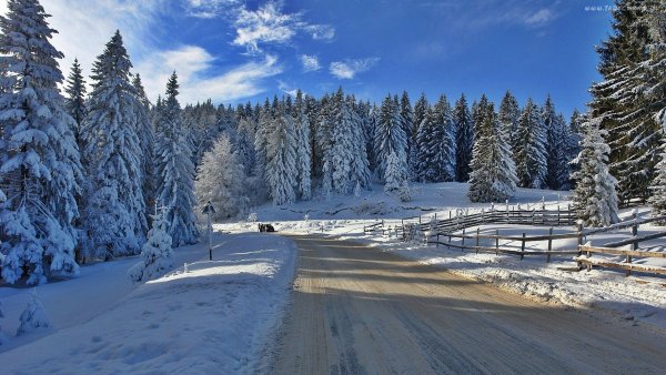 Снежная зима