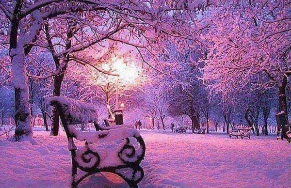 Зимний парк