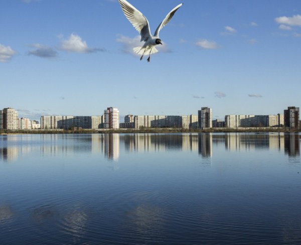 Красивые виды Северодвинска