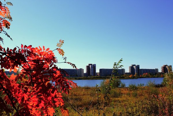 Природа города Северодвинска