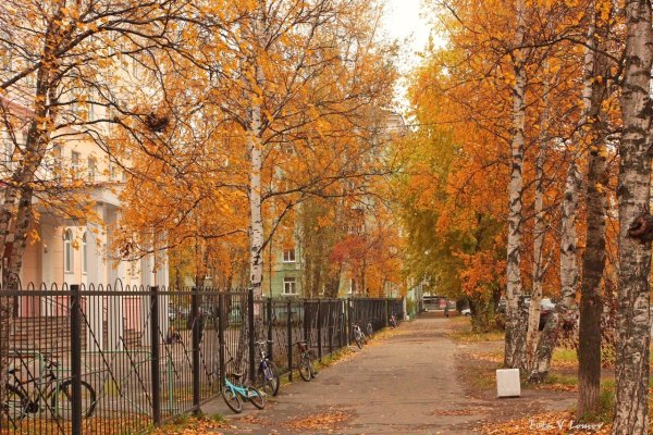 Осень Северодвинск