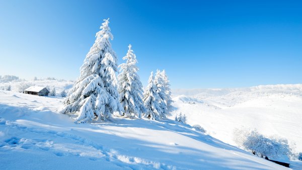 Зимний пейзаж