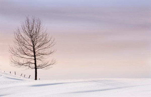 Зима Минимализм