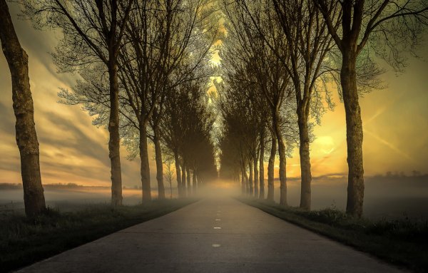 Картина с дорогой уходящей вдаль