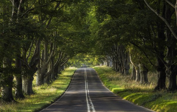 Дорога уходящая вдаль