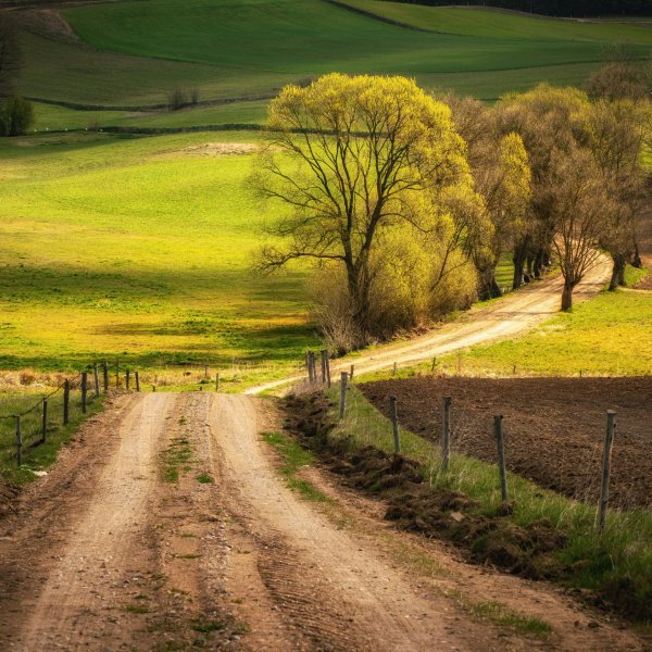 Деревенская дорога