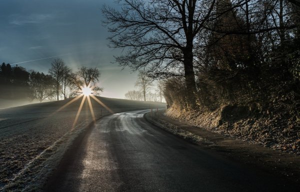 Проселочная дорога туман