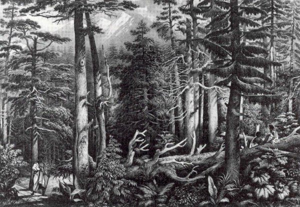 Питер брейгель зимний пейзаж с конькобежцами и ловушкой для птиц