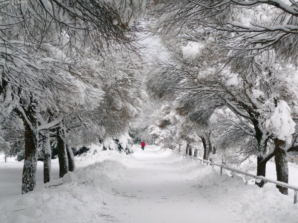 Красивые зимние пейзажи в городе