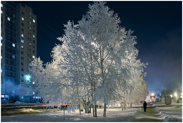 Зимний парк