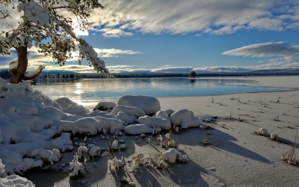 Берег моря зимой