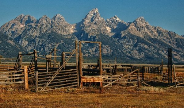 Ранчо дикий Запад