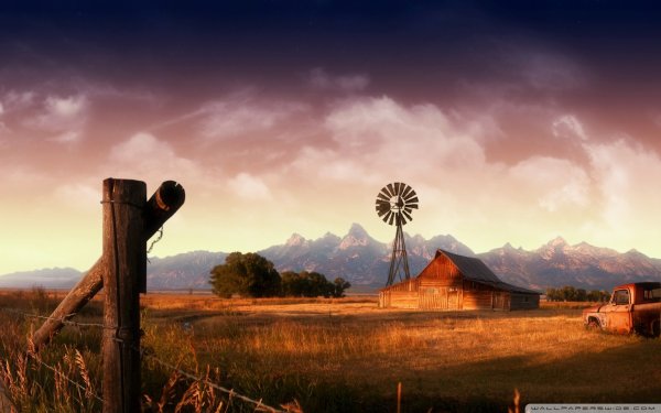 Техас природа ранчо