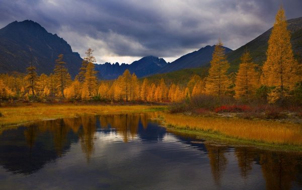 Осень в Сибири