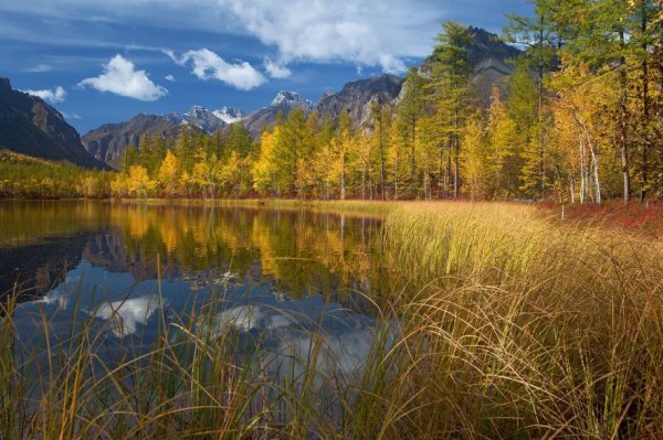 Тайга горы Буйба