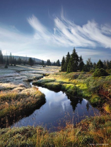 Природа Сибири