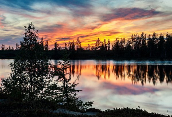 Таежные просторы Западной Сибири