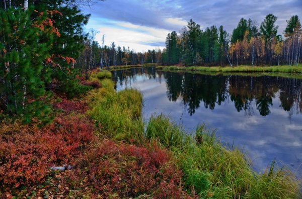 Пейзаж сибирских Увалов