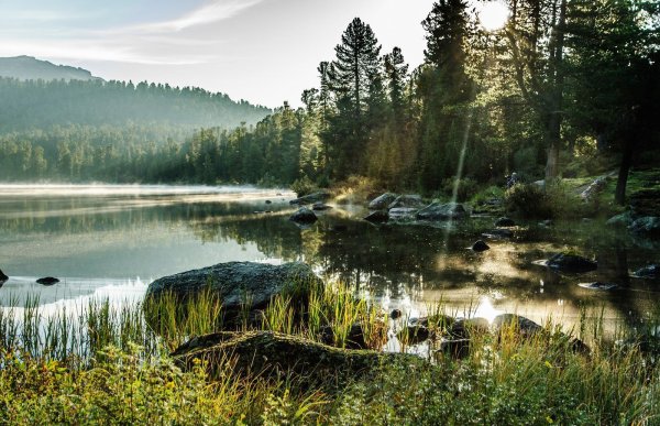 Тайга Ергаки