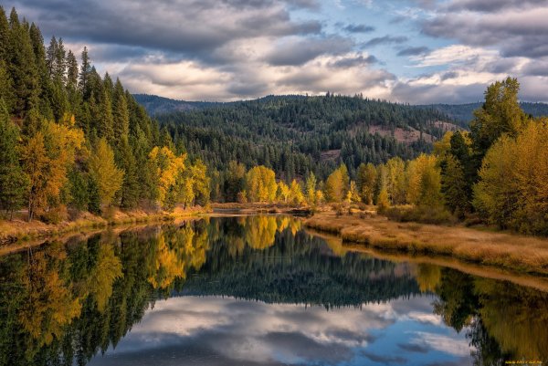 Осень природа река озеро лес