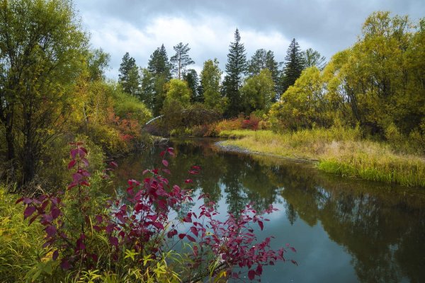Река Андога